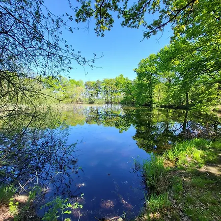 Sarai Ξενοδοχείο